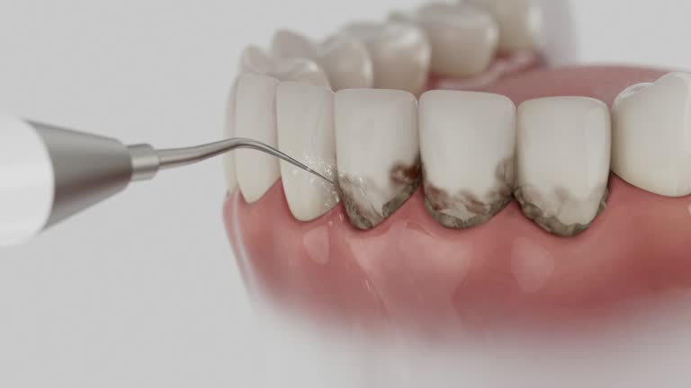 Reliable Dental contractor in Butner, NC by Dentist Open Now